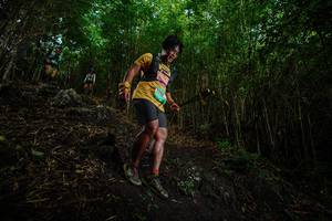 BIB: 
                            <button type="button" onclick="openModal(25100239)" class="btn btn-primary btn-sm float-right btn-popup" data-toggle="modal" data-target=".modal-high-quality">
                        <i class="fas fa-shopping-cart"></i> Add to Cart
                    </button>
                                            <button type="button" onclick="isThisMe(25100239, true)" class="btn btn-success btn-sm float-right btn-popup btn-isme hidden" data-toggle="tooltip" data-placement="bottom" title="นี่คือรูปของคุณใช่ไหม คลิกที่นี่เพื่อเอาเข้าอัลบั้ม">
                        <i class="fas fa-plus"></i> Add to album
                    </button>
                    <button type="button" onclick="isThisMe(25100239, false)" class="btn btn-warning btn-sm float-right btn-popup btn-isnotme hidden">
                        <i class="fas fa-ban"></i> Remove from album
                    </button>